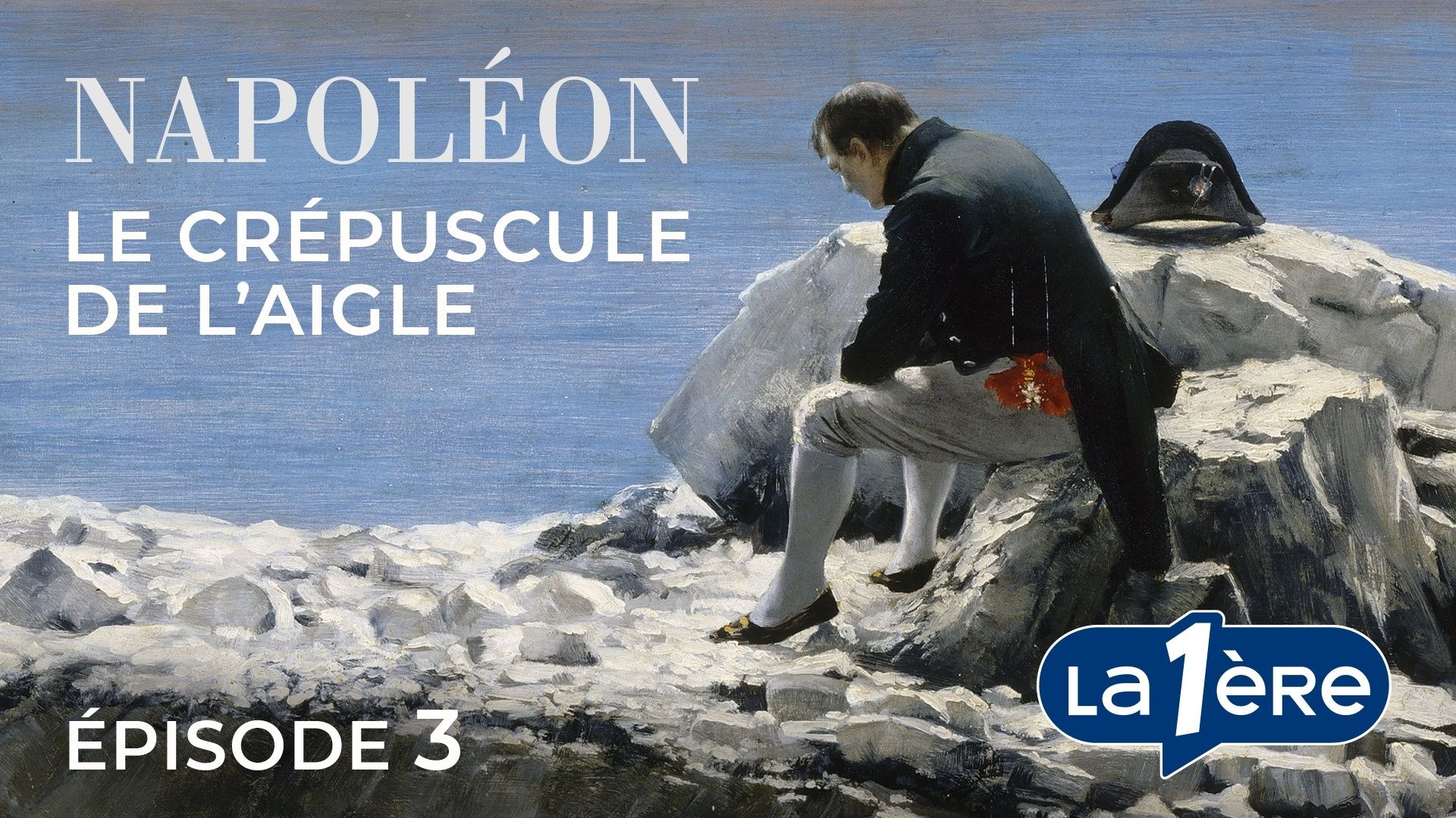 Napoléon, le Crépuscule de l'Aigle