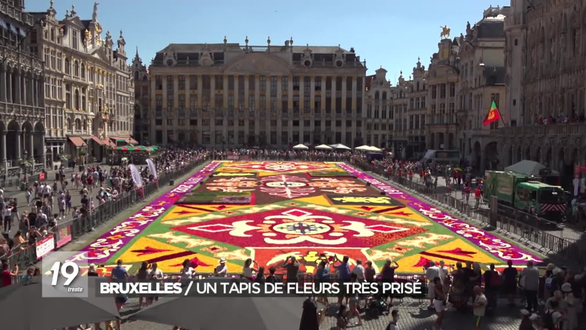 Le tapis de fleurs de Bruxelles risque d être éphémère